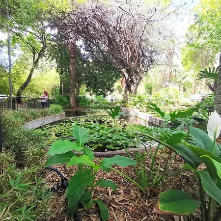 Home2book La Casita Del Mercado * Santa Cruz de Tenerife