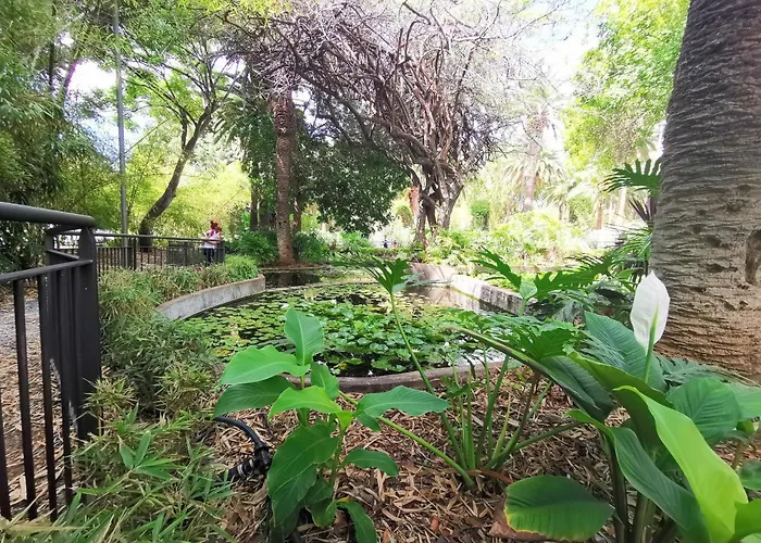 Home2book La Casita Del Mercado * Σάντα Κρουζ Τενερίφης