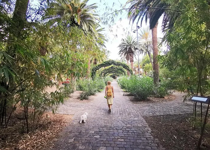 Home2book La Casita Del Mercado Σπίτι διακοπών Σάντα Κρουζ Τενερίφης