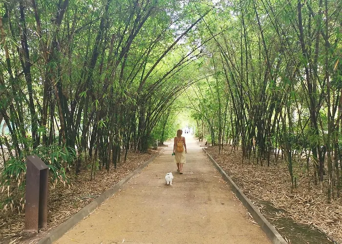 Home2book La Casita Del Mercado *